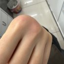 고양이토크쇼협업문의는@1n0...