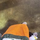 오렌지크로스 | 코닥 (kodak) 하디 스트링 미니 크로스백 | 오렌지