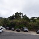 (주)별다섯 | 서귀포 어멍뚝배기 고사리만두 솔직 후기｜기대 없이 갔다가 별 다섯 개