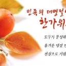 한가위 Daum카페