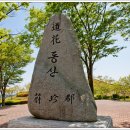 도 경계 도화동산 이미지