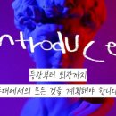 정헤어이야기