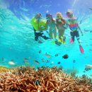 에이젼시뷰 | 괌 피쉬아이 스노클링 투어 완벽 가이드 🐠 괌 자유여행 액티비티 추천 | 스노클링투어 실후기