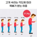 케스짐 이미지
