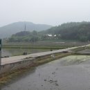 경기도 양평군 곡수초등학교 | 경기도산 양평 고래산(543m)