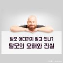 탈모야놀자 이미지