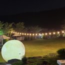 평생 사랑해 줄 개 애견펜션 이미지