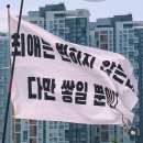 비밀의화원 이미지