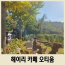 파주로 은행나무길 | 파주 은행나무 카페 헤이리 오티움 핸드드립 커피 맛집