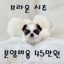 강아지친구