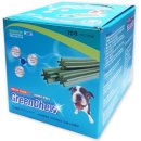 그린덴탈 이미지