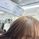 (주)서부개발 | 4월 첫째 주 기록 ① - 먹고 꽃보고 돌아다니고 행복하고