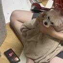 산호동376 | 2022년 8월_2