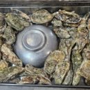 굴&매생이 전문 이미지