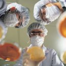 모두약품 이미지