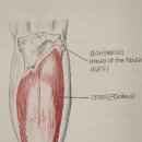 논현우리한의원 이미지