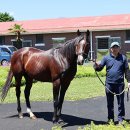 지원목장 이미지