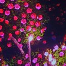 아르떼 (arte) 이미지