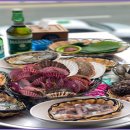 지금조개 이미지