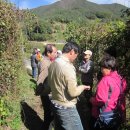 삼포농장 이미지