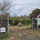 금오름농장 이미지