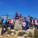 대천공원4호 이미지