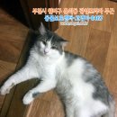 광성프라자 이미지