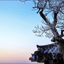 여주-0480 티스토리