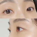 역앞길 | 을지로 속눈썹펌 잘하는 곳 오련에서 블랙틴팅 인형속눈썹 된 후기!!