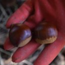 기성농장 이미지