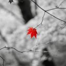 구름산초등학교 이미지