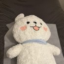 망고왁싱 | 여름 대비 브라질리언 왁싱 후기 범계 망고왁싱