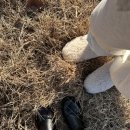 해브솔 방갈로 이미지