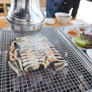 서파장어랜드 이미지