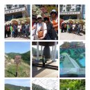 고요부부농장 이미지