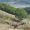 제27회 포천 산정호수 명성산 억새꽃 축제 이미지