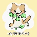 고야미 이미지