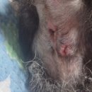 수천캔넬 이미지