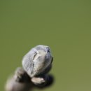 성정축산 이미지