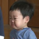놀러와맛집 네이버블로그