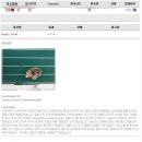 와이즈24시 동물병원 이미지