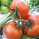 춘달농장 이미지