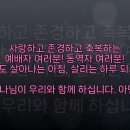 (주)팀씨