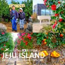 행복이 피어나는 카페 | 제주 감귤체험 추천 서귀포 동백꽃 카페 마노르블랑