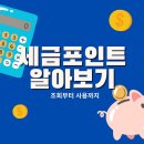 경주생태원캠핑장 | 국내여행 꿀팁 ① 세금포인트 조회부터 사용처까지 여행 할인