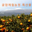 귤향체험농원