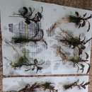 신용 아쿠아 수족관 이미지