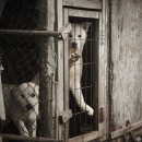 아부지농장 이미지