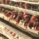 이용식농장 이미지