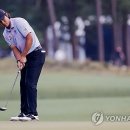 H GOLF 이미지